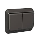 SCHNEIDER ELECTRIC - Pistorasia Exxact - 2S/16A/IP44 UPR 2X ant