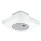 STEINEL PROFESSIONAL - Valonsäädin - DUAL SQUARE KNX V3 IP54 UKA VA