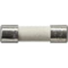 GIRA - Vaihto Sulake T2H 250V - Gira