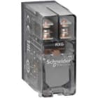 SCHNEIDER ELECTRIC - Pistokantarele - RXG25BD