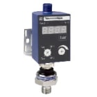 TELEMECANIQUE-SENSORS - Näyttö XMLP/XMLG 24V DC 2 PNP - ZMLPA2P0SH