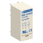 SCHNEIDER ELECTRIC - Pistokekantarele - RSB1A120F7 120VAC 1C/O 12A