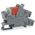 WAGO - Rele, 2-CO/2x8A, AC 24 V - WAGO 788-512 Releyksikkö