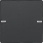 HAGER - Painike KNX Q.1/Q.3 - 2-pain. MI/RGB-mv ant