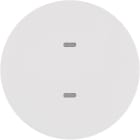 HAGER - Painike KNX R.1/R.3 - 2-pain. MI/RGB-mv val