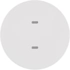 HAGER - Painike KNX R.1/R.3 - 2-pain. MI/RGB-mv val