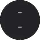 HAGER - Painike KNX R.1/R.3 - 2-pain. MI/RGB-mv mus