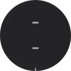 HAGER - Painike KNX R.1/R.3 - 2-pain. MI/RGB-mv mus