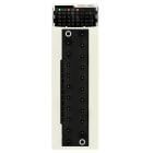 SCHNEIDER ELECTRIC - Logiikkamoduuli - Digitaalilähtö 16ch, 24V dc