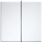 ELTAKO - Painike - DW-FT55-wg