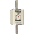 MERSEN - Kahvasulake FS 500 V gG/gL - 1B375 / 3-250 A