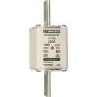 MERSEN - Kahvasulake FS 500 V gG/gL - 1B375 / 3-250 A