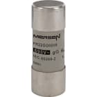 MERSEN - Keraaminen putkisulake 22x58mm - 22X58 GG 690V 6A