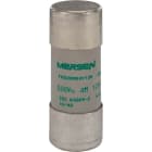 MERSEN - Keraaminen putkisulake 22x58mm - 22X58 AM 400V 125A