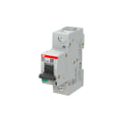 ABB - Johdonsuojakatkaisija S800 - S801P-D100, 1P D 100A