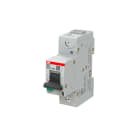 ABB - Johdonsuojakatkaisija S800 - S801P-K100, 1P K 100A