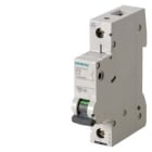 SIEMENS - Johdonsuojakatkaisija kiinteistö 63A 6kA - 5SL6163-6, 63A 1-nap B 6kA