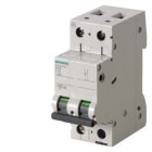 SIEMENS - Johdonsuojakatkaisija kiinteistö 4A 6kA - 5SL6204-7, 4A 2-nap C 6kA