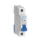 CHINT - Johdonsuojakatkaisija - 1-napainen B-käyrä 50A