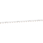 SCHNEIDER ELECTRIC - Virtakisko - iC40 virtak 1P+N+OF 80A 48 nap