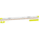 SCHNEIDER ELECTRIC - Virtakisko - iC40 virtak 1P+N 80A 24 nap