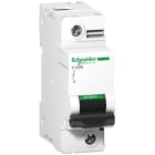 SCHNEIDER ELECTRIC - Johdonsuojakatkaisija - C120N jsk 1P B 80A 10kA