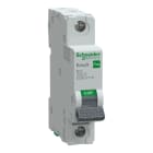 SCHNEIDER ELECTRIC - Johdonsuojakatkaisija - Easy9 MCB 1B16 6kA
