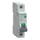 SCHNEIDER ELECTRIC - Johdonsuojakatkaisija - Easy9 MCB 1C16 6kA
