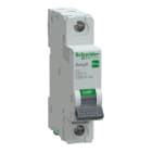 SCHNEIDER ELECTRIC - Johdonsuojakatkaisija - Easy9 MCB 1C2 6kA