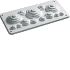 HAGER - Multilaippa Univers N - FZ425 läpivienteihin IP44/54