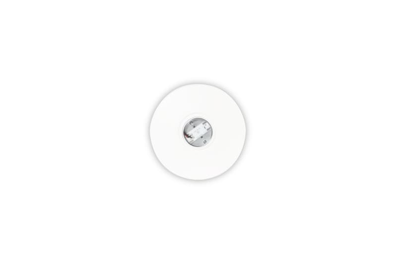 IDESCO - Turvavalaisin - EXISAFE-1T/W EXIoT 230 VAC