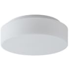 M-LIGHT - Yleisvalaisin pinta - ELSA 1 1xE27 IP44