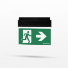 TEKNOWARE EMERGENCY LIGHTING - Opastevalaisin - Y8053WMT103 230VAC 20M O/V 2-P