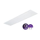 PHILIPS - Moduulivalaisin - 3400/3600LM CCT ON/OFF W30L120