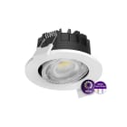 PHILIPS - Kohdevalaisin - 550LM CCT DIM 60D IP20/65 WH