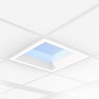 PHILIPS - Kattoikkunavalaisin - NatureConnect Skylight