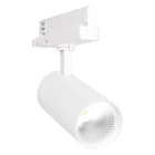 LEDVANCE - Kohdevalaisin - TR SP XR 30W MEAT 24D WT