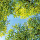 EXAKTOR - Moduulivalaisin - iLLUST 60x60 puu 865 4P