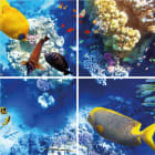 EXAKTOR - Moduulivalaisin - iLLUST 60x60 meri 865 4P