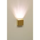 CARIITTI - Valokuitupääte - SY SQ KULTA