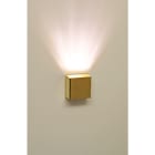 CARIITTI - Valokuitupääte - SY SQ KULTA