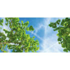 AIRAM - Moduulivalaisin PLATEIA - PLATEIA Q SKY 8X36W/SKY22