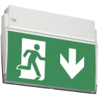TEKNOWARE EMERGENCY LIGHTING - Opastevalaisin Opas 90 - TWS9092WM 230VAC IP44 1H