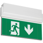 TEKNOWARE EMERGENCY LIGHTING - Opas 80 poistumistievalaisin - TWT8051W 230VAC/DC IP44