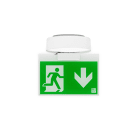 Idesco Oy - Opastevalaisin - ELX-4L-O 230V AC/DC