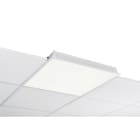 GLAMOX - Uppoasennusvalaisin - C90-R600 4000 DALI 840 LI OP