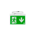 EXILIGHT - Opastevalaisin - ELX-1W-O EXIoT 230 VAC