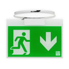 IDESCO - Opastevalaisin - ELX-4W-AA EXIoT 230 VAC