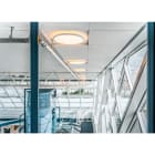 DEFA - Pinta-asennusvalaisin - LedgeCircle D460.ON/OFF. 4000K