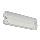 PHILIPS - Opastevalaisin - 175lm, 3h akku, itsetestaus